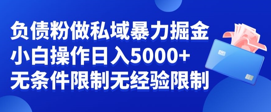 负债粉私域暴力掘金，小白操作入5000，无经验限制，无条件限制【揭秘】-新星起源