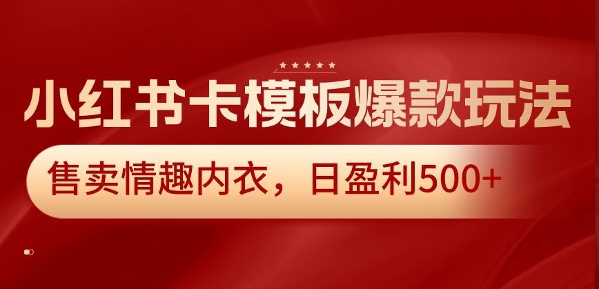 小红书卡模板爆款玩法，售卖情趣内衣，日盈利500+【揭秘】-新星起源