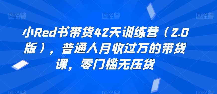 小Red书带货42天训练营（2.0版），普通人月收过万的带货课，零门槛无压货-新星起源