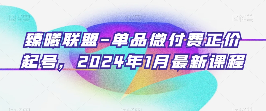 臻曦联盟-单品微付费正价起号，2024年1月最新课程-新星起源