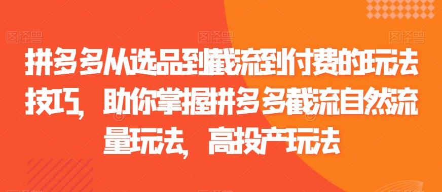 拼多多从选品到截流到付费的玩法技巧，助你掌握拼多多截流自然流量玩法，高投产玩法-新星起源