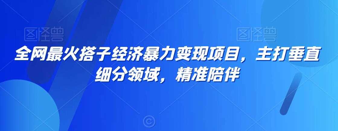 全网最火搭子经济暴力变现项目，主打垂直细分领域，精准陪伴【揭秘】-新星起源