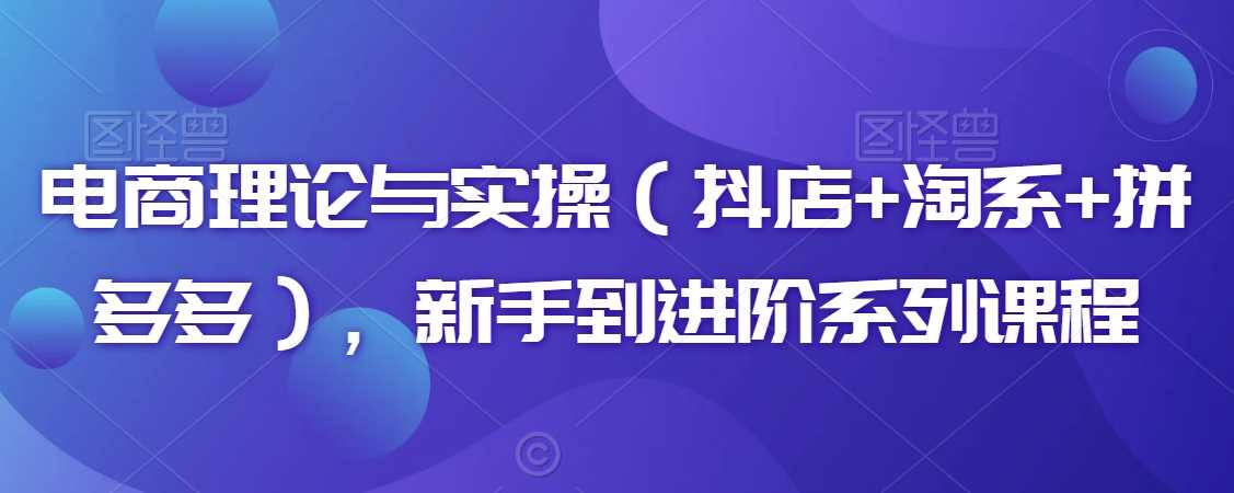 电商理论与实操（抖店+淘系+拼多多），新手到进阶系列课程-新星起源