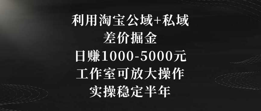 利用淘宝公域+私域差价掘金，日赚1000-5000元，工作室可放大操作，实操稳定半年【揭秘】-新星起源