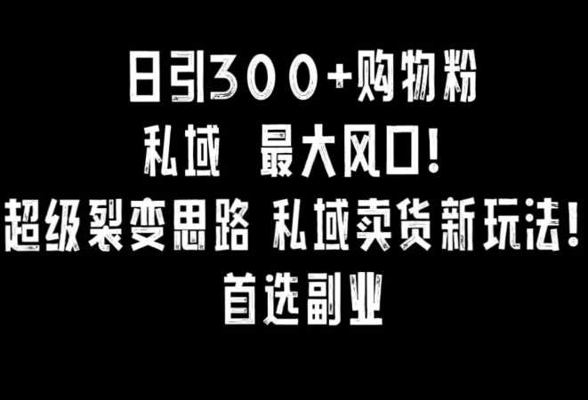 日引300+购物粉，超级裂变思路，私域卖货新玩法，小红书首选副业【揭秘】-新星起源