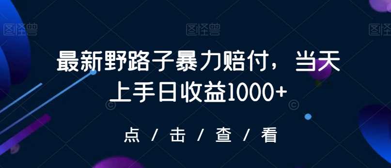 最新野路子暴力赔付，当天上手日收益1000+【仅揭秘】-新星起源