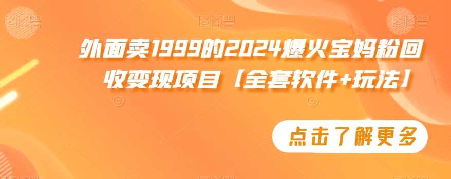 外面卖1999的2024爆火宝妈粉回收变现项目【全套软件+玩法】【揭秘】-新星起源