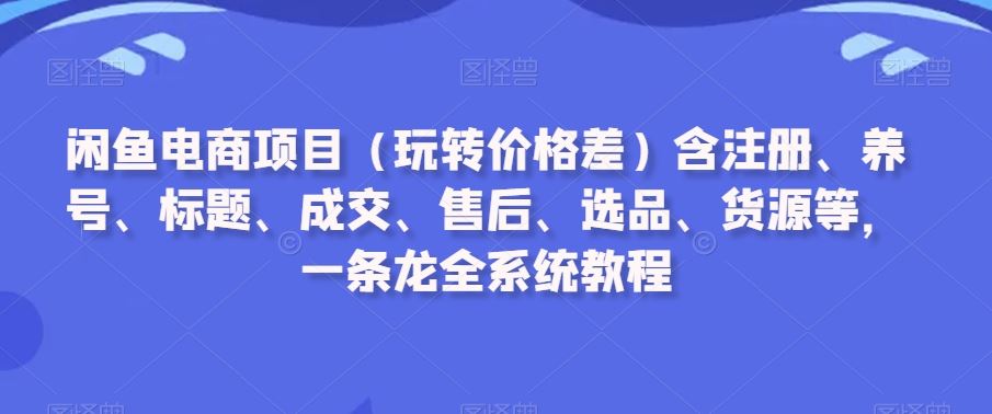 闲鱼电商项目（玩转价格差）含注册、养号、标题、成交、售后、选品、货源等，一条龙全系统教程-新星起源