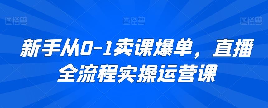 新手从0-1卖课爆单，直播全流程实操运营课-新星起源