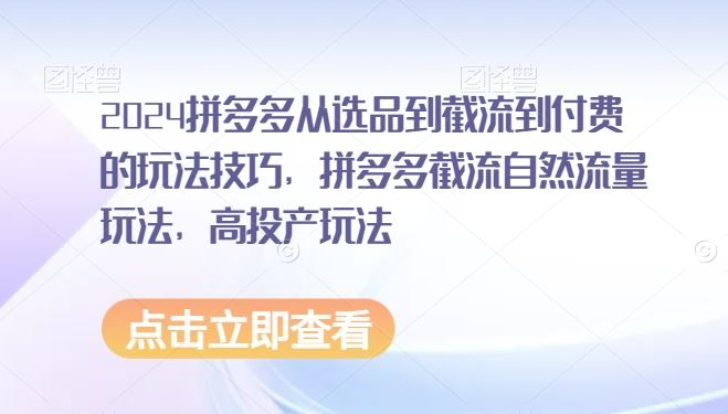 2024拼多多从选品到截流到付费的玩法技巧，拼多多截流自然流量玩法，高投产玩法-新星起源