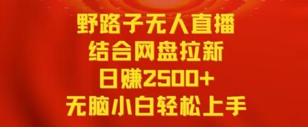 野路子无人直播结合网盘拉新，日赚2500+，小白无脑轻松上手【揭秘】-新星起源