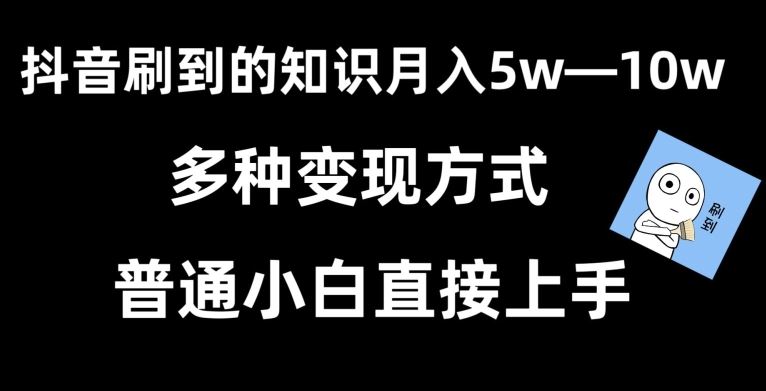 抖音刷到的知识，每天只需2小时，日入2000+，暴力变现，普通小白直接上手【揭秘】-新星起源