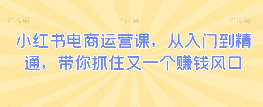 小红书电商运营课，从入门到精通，带你抓住又一个赚钱风口-新星起源