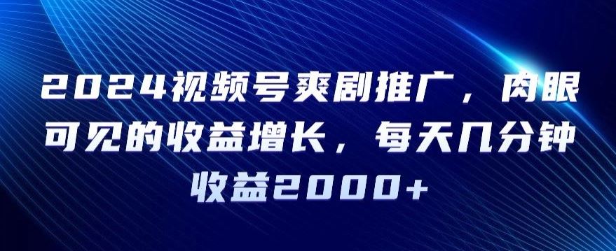 2024视频号爽剧推广，肉眼可见的收益增长，每天几分钟收益2000+【揭秘】-新星起源