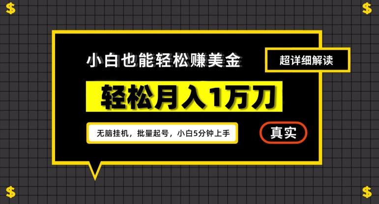 谷歌看广告撸美金2.0，无脑挂机，多号操作，月入1万刀【揭秘】-新星起源