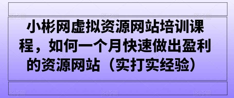 小彬网虚拟资源网站培训课程，如何一个月快速做出盈利的资源网站（实打实经验）-新星起源