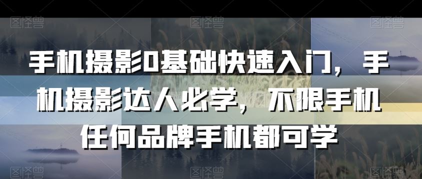 手机摄影0基础快速入门，手机摄影达人必学，不限手机任何品牌手机都可学-新星起源