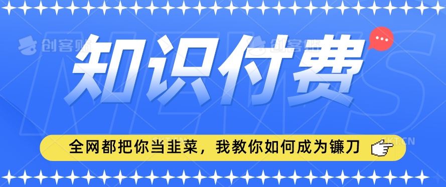 2024最新知识付费项目，小白也能轻松入局，全网都在教你做项目，我教你做镰刀【揭秘】-新星起源