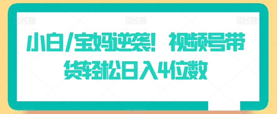 小白/宝妈逆袭！视频号带货轻松日入4位数【揭秘】-新星起源