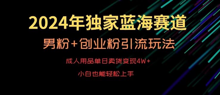 2024年独家蓝海赛道，成人用品单日卖货变现4W+，男粉+创业粉引流玩法，不愁搞不到流量【揭秘】-新星起源