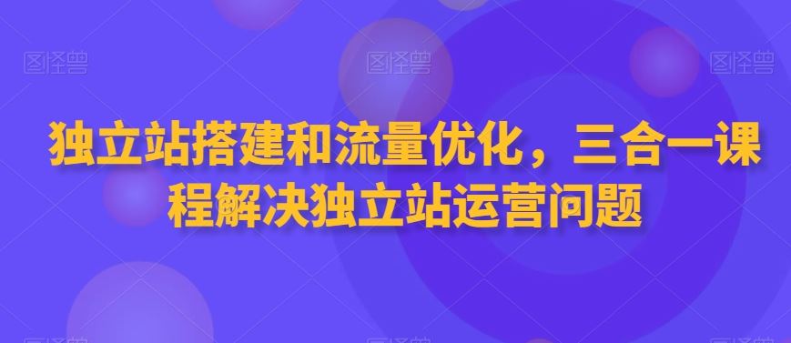 独立站搭建和流量优化，三合一课程解决独立站运营问题-新星起源