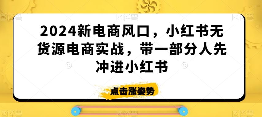 2024新电商风口，小红书无货源电商实战，带一部分人先冲进小红书-新星起源