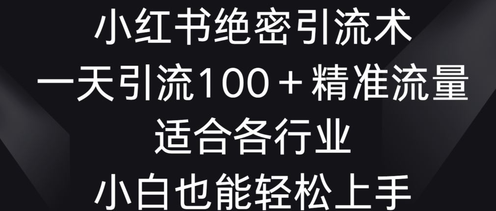 小红书绝密引流术，一天引流100+精准流量，适合各个行业，小白也能轻松上手【揭秘】-新星起源