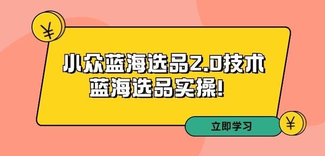 拼多多培训第33期：小众蓝海选品2.0技术-蓝海选品实操！-新星起源