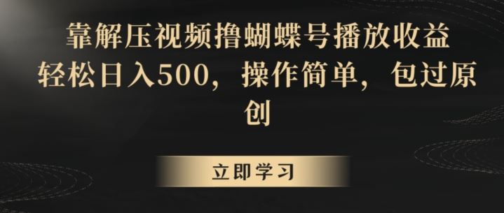 靠解压视频撸蝴蝶号播放收益，轻松日入500，操作简单，包过原创【揭秘】-新星起源