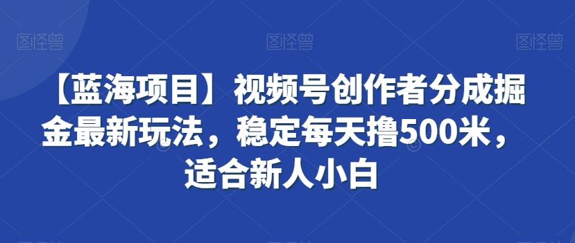 【蓝海项目】视频号创作者分成掘金最新玩法，稳定每天撸500米，适合新人小白【揭秘】-新星起源