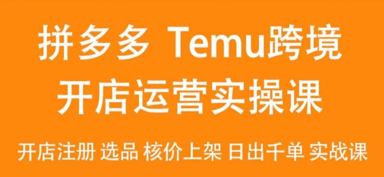 2024Temu最新玩法，Temu跨境开店运营实操课，开店注册/选品/核价上架/日出千单实战课-新星起源