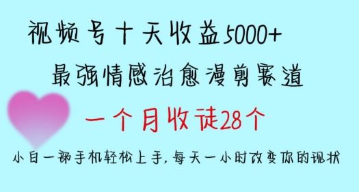 十天收益5000+，多平台捞金，视频号情感治愈漫剪，一个月收徒28个，小白一部手机轻松上手【揭秘】-新星起源