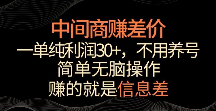 中间商赚差价，一单纯利润30+，简单无脑操作，赚的就是信息差，轻轻松松日入1000+【揭秘】-新星起源