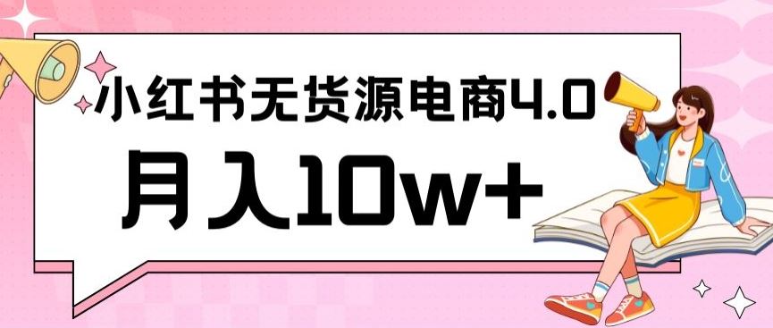 小红书新电商实战，无货源实操从0到1月入10w+联合抖音放大收益【揭秘】-新星起源