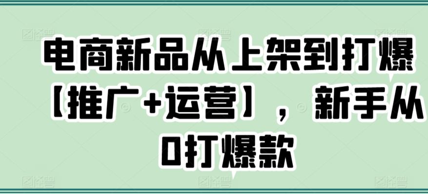 电商新品从上架到打爆【推广+运营】，新手从0打爆款-新星起源