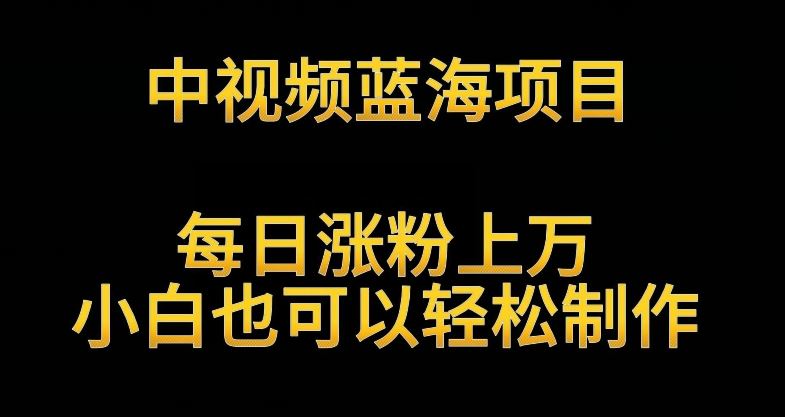 中视频蓝海项目，解读英雄人物生平，每日涨粉上万，小白也可以轻松制作，月入过万不是梦【揭秘】-新星起源