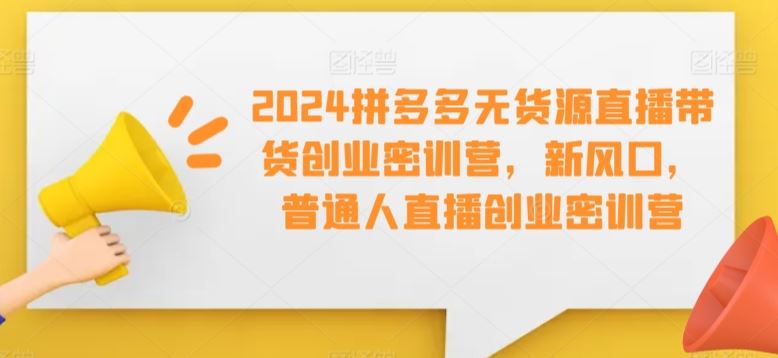 2024拼多多无货源直播带货创业密训营，新风口，普通人直播创业密训营-新星起源