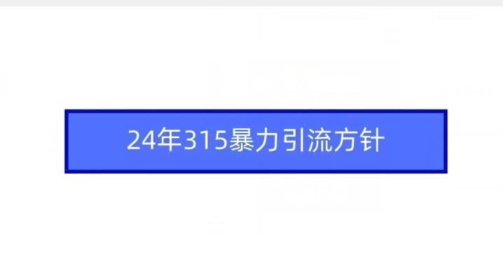 24年315暴力引流方针-新星起源