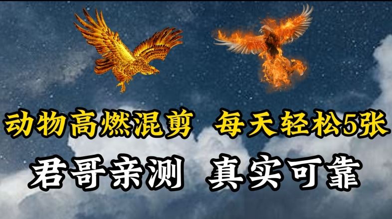 动物超燃混剪，每天轻松5张，剪辑简单大家爱看【揭秘】-新星起源