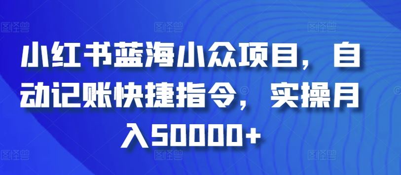 小红书蓝海小众项目，自动记账快捷指令，实操月入50000+【揭秘】-新星起源