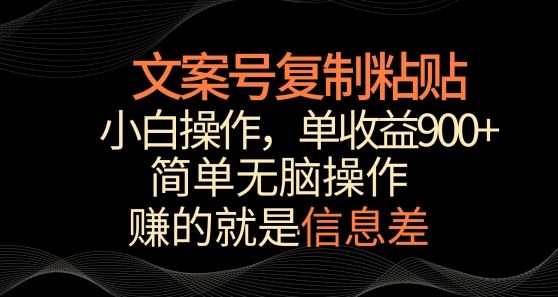 文案号掘金，简单复制粘贴，小白操作，单作品收益900+【揭秘】-新星起源