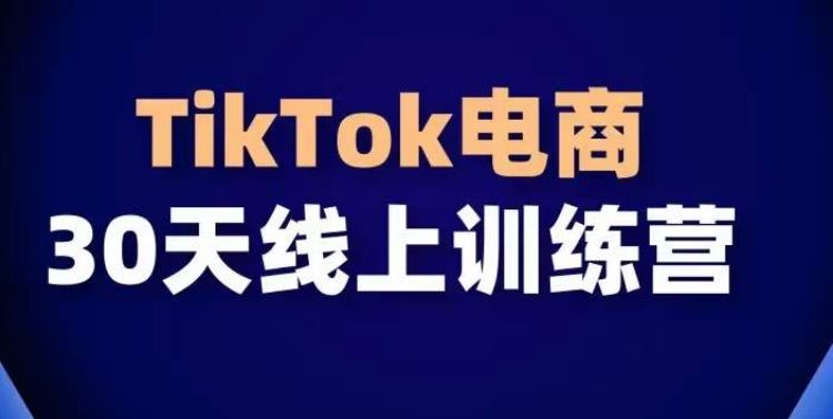 TikTok电商带货30天线上课，不可错过的全球流量洼地！-新星起源