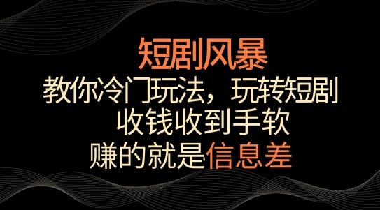 短剧风暴，教你冷门玩法，玩转短剧，收钱收到手软【揭秘】-新星起源