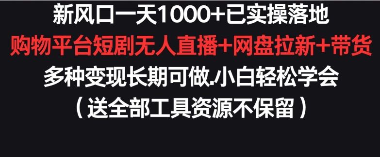 新风口一天1000+已实操落地购物平台短剧无人直播+网盘拉新+带货多种变现长期可做【揭秘】-新星起源