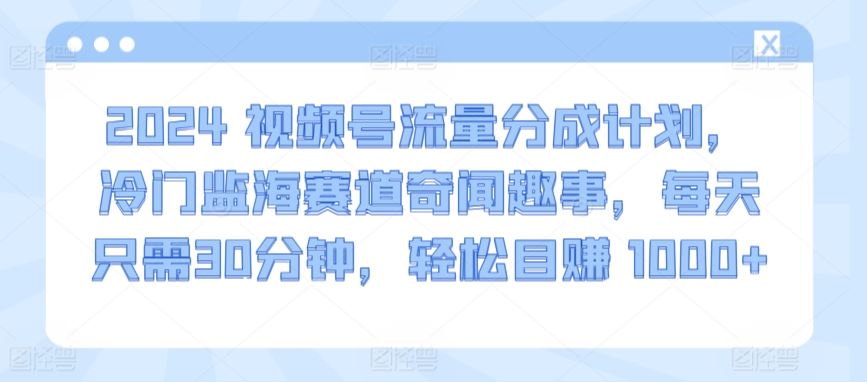 2024视频号流量分成计划，冷门监海赛道奇闻趣事，每天只需30分钟，轻松目赚 1000+【揭秘】-新星起源