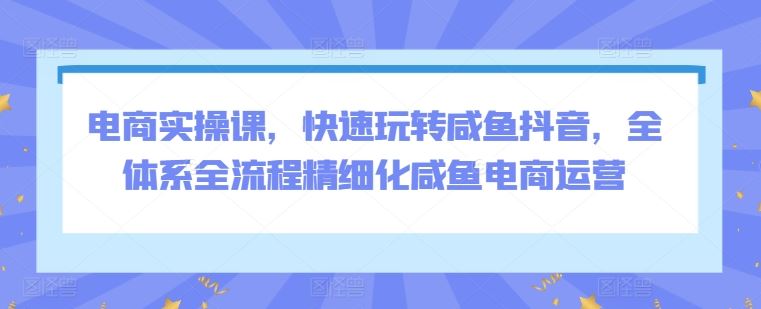 电商实操课，快速玩转咸鱼抖音，全体系全流程精细化咸鱼电商运营-新星起源