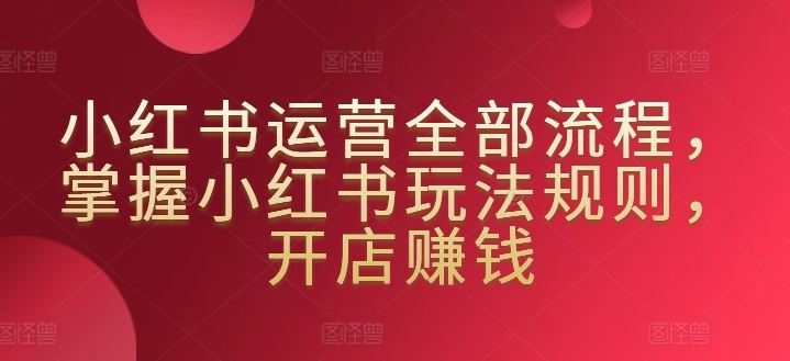 小红书运营全部流程，掌握小红书玩法规则，开店赚钱-新星起源