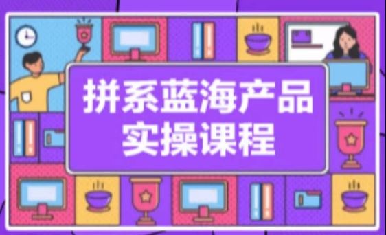 拼系冷门蓝海产品实操课程，从注册店铺到选品上架到流量维护环环相扣-新星起源