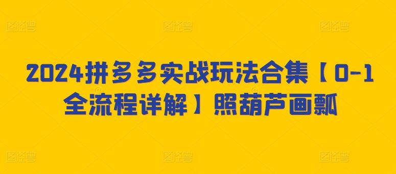 2024拼多多实战玩法合集【0-1全流程详解】照葫芦画瓢-新星起源