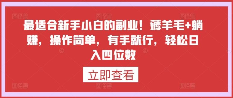 最适合新手小白的副业！薅羊毛+躺赚，操作简单，有手就行，轻松日入四位数【揭秘】-新星起源